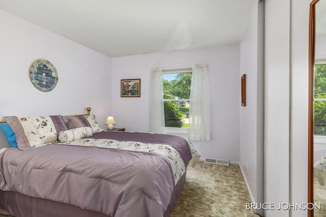 1236 S Van Bruggen Dr, Plainwell, MI 49080 - bedroom with carpet and baseboards