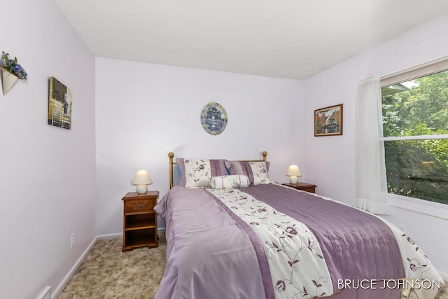 1236 S Van Bruggen Dr, Plainwell, MI 49080 - bedroom with carpet floors and baseboards