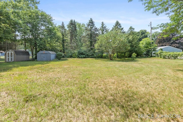1236 S Van Bruggen Dr, Plainwell, MI 49080 - view of grassy yard with a shed