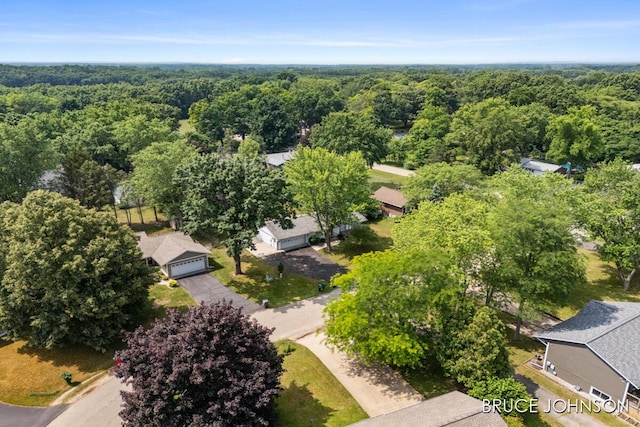 1236 S Van Bruggen Dr, Plainwell, MI 49080 - aerial perspective of suburban area featuring a heavily wooded area
