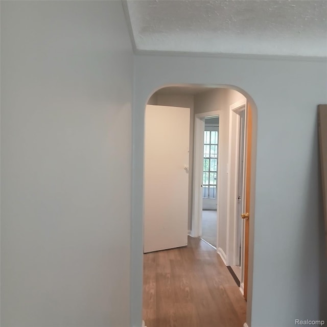 19145 Fielding St, Detroit, MI 48219 - hallway with arched walkways and wood finished floors