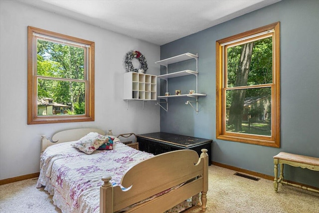 16253 1st Ln, Union Pier, MI 49129 - bedroom featuring multiple windows and carpet
