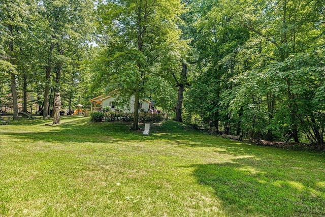 16253 1st Ln, Union Pier, MI 49129 - view of green lawn