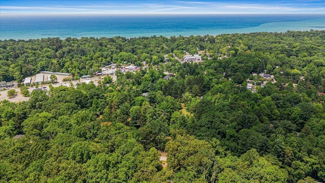 16253 1st Ln, Union Pier, MI 49129 - drone / aerial view of a forest