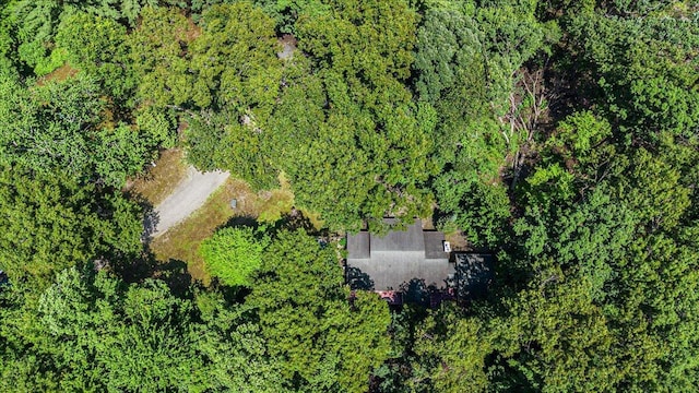 16253 1st Ln, Union Pier, MI 49129 - aerial view of property and surrounding area