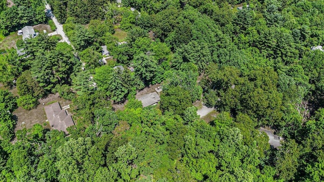 16253 1st Ln, Union Pier, MI 49129 - aerial view of property's location