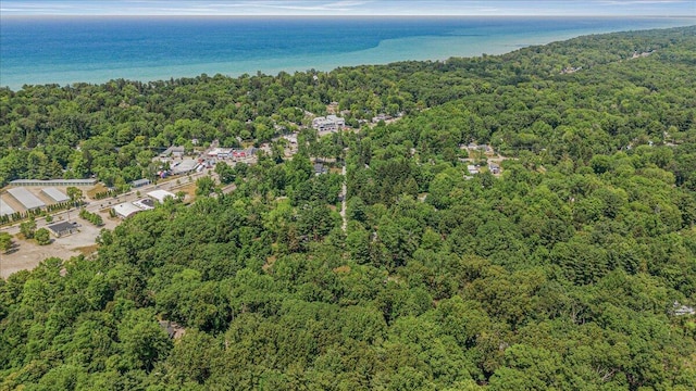 16253 1st Ln, Union Pier, MI 49129 - aerial view of property and surrounding area featuring a heavily wooded area and a large body of water