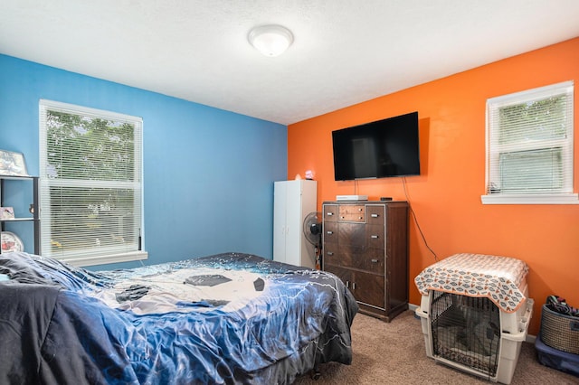 80 Vander Veen Ave, Holland, MI 49424 - photo 14