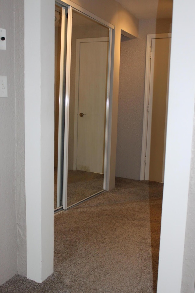 411 Block Rd, Coldwater, MI 49036 - corridor with carpet flooring and a textured wall