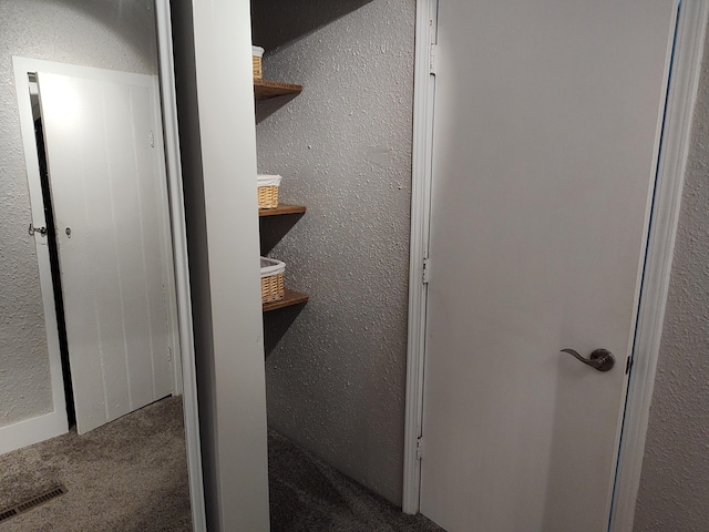 411 Block Rd, Coldwater, MI 49036 - view of closet