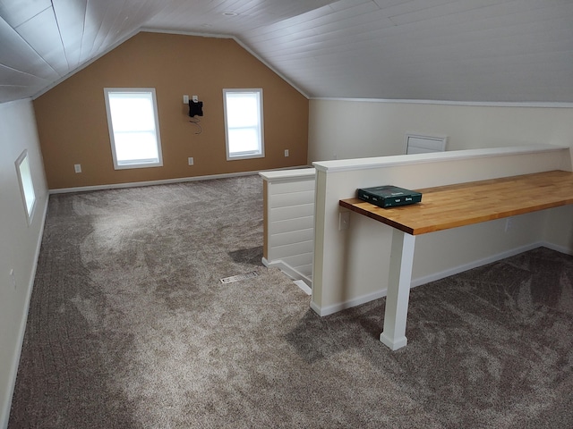 411 Block Rd, Coldwater, MI 49036 - bonus room with carpet flooring and lofted ceiling