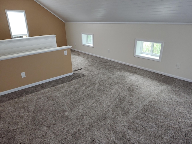 411 Block Rd, Coldwater, MI 49036 - bonus room featuring lofted ceiling and carpet