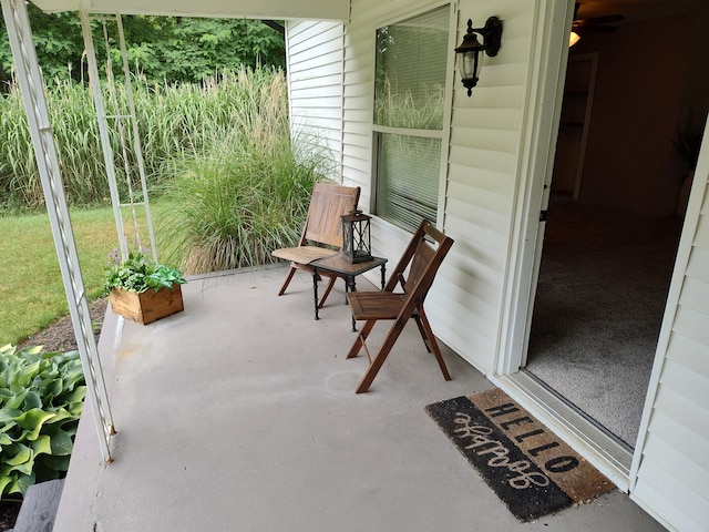 411 Block Rd, Coldwater, MI 49036 - view of patio / terrace