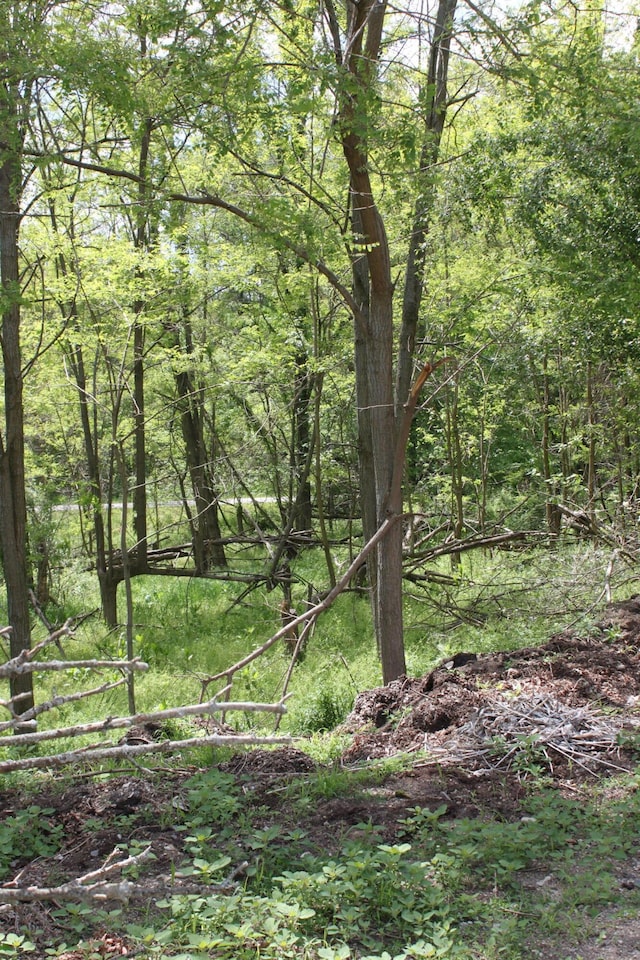411 Block Rd, Coldwater, MI 49036 - view of woods