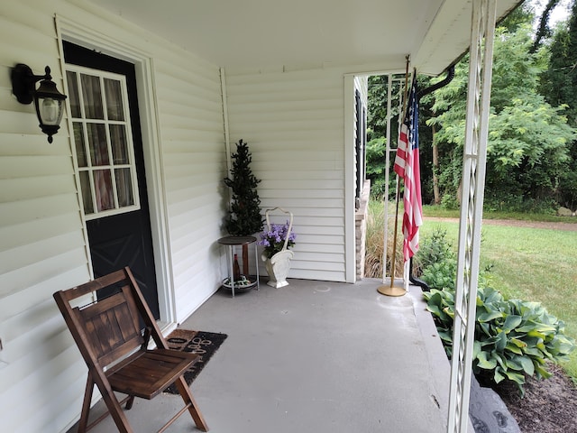 411 Block Rd, Coldwater, MI 49036 - view of patio