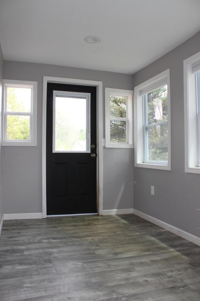 411 Block Rd, Coldwater, MI 49036 - foyer featuring baseboards and wood finished floors