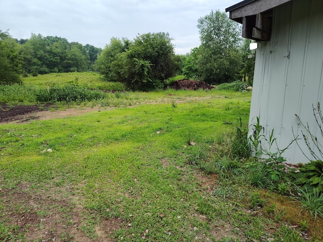 411 Block Rd, Coldwater, MI 49036 - view of yard