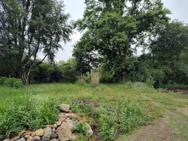 411 Block Rd, Coldwater, MI 49036 - view of yard