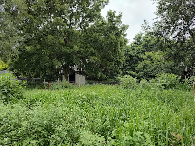 411 Block Rd, Coldwater, MI 49036 - view of undeveloped land