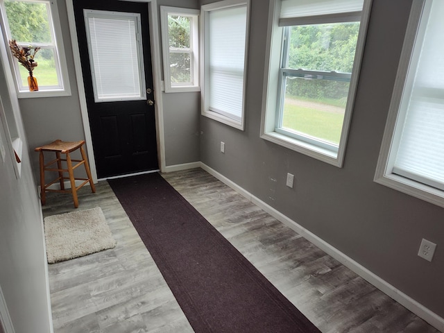 411 Block Rd, Coldwater, MI 49036 - foyer with healthy amount of natural light and wood finished floors