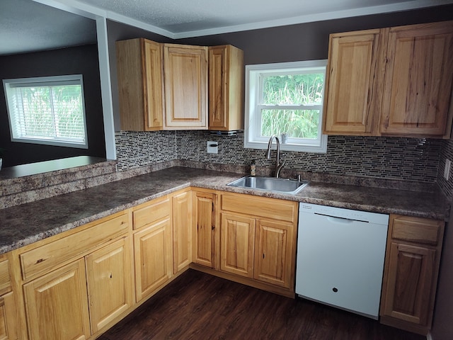 411 Block Rd, Coldwater, MI 49036 - kitchen featuring white dishwasher, dark wood finished floors, and decorative backsplash