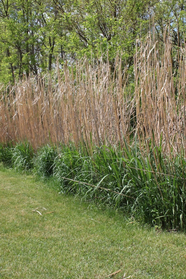 411 Block Rd, Coldwater, MI 49036 - view of green lawn