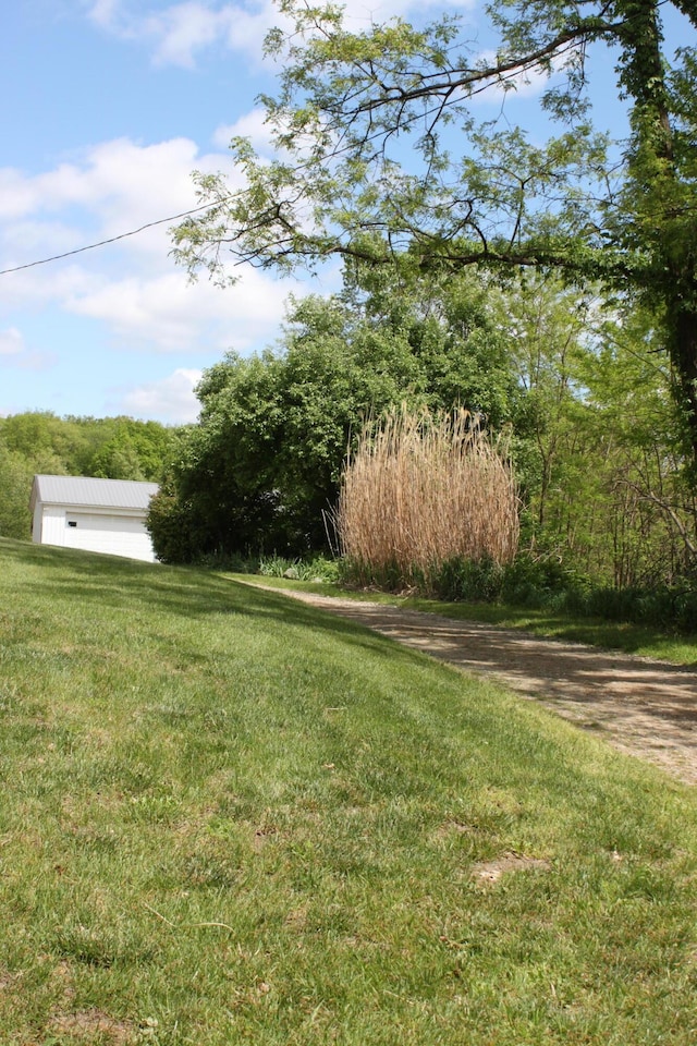 411 Block Rd, Coldwater, MI 49036 - view of grassy yard