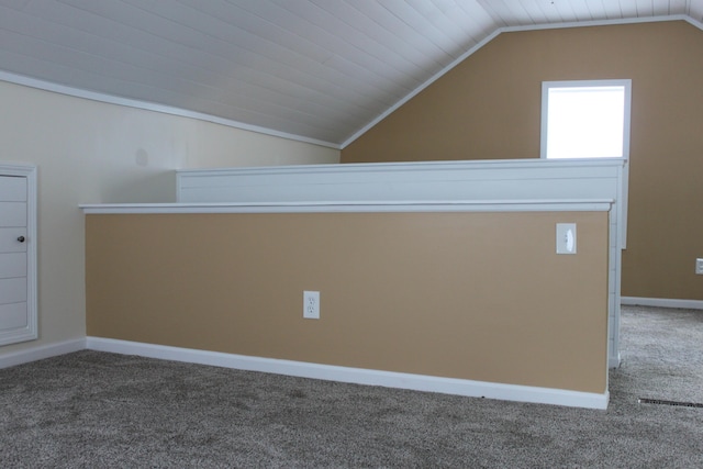 411 Block Rd, Coldwater, MI 49036 - bonus room with carpet and lofted ceiling