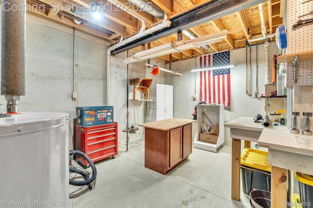 77 Sedum, Howell, MI 48843 - unfinished below grade area featuring a workshop area and water heater