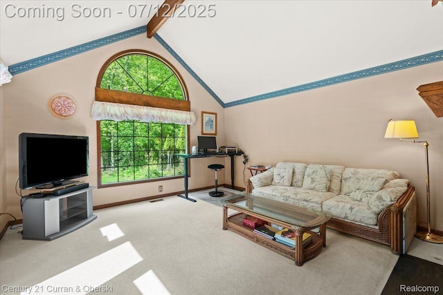46890 Cider Mill Dr, Novi, MI 48374 - photo 11