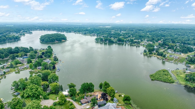 11259 Baker Rd, Jerome, MI 49249 - drone / aerial view of a large body of water