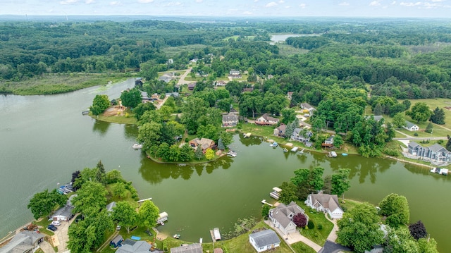 11259 Baker Rd, Jerome, MI 49249 - aerial view of residential area with a forest and a nearby body of water