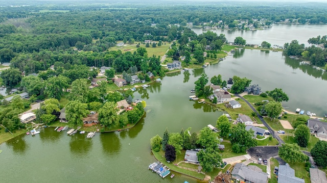 11259 Baker Rd, Jerome, MI 49249 - aerial perspective of suburban area featuring a large body of water
