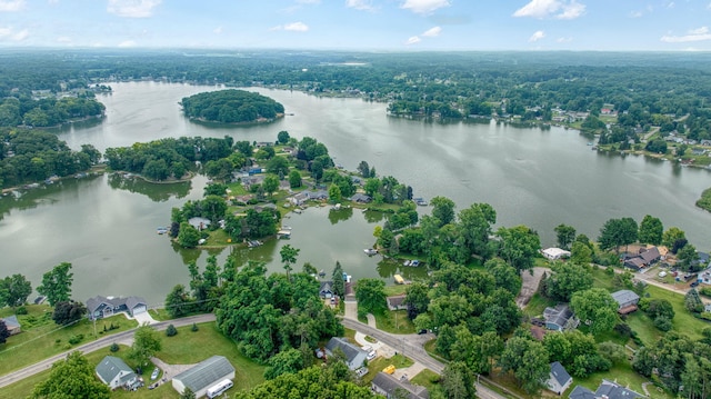11259 Baker Rd, Jerome, MI 49249 - drone / aerial view of a large body of water