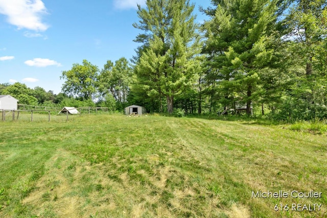 9583 E 5 Mile Rd, Big Rapids, MI 49307 - view of yard featuring a shed