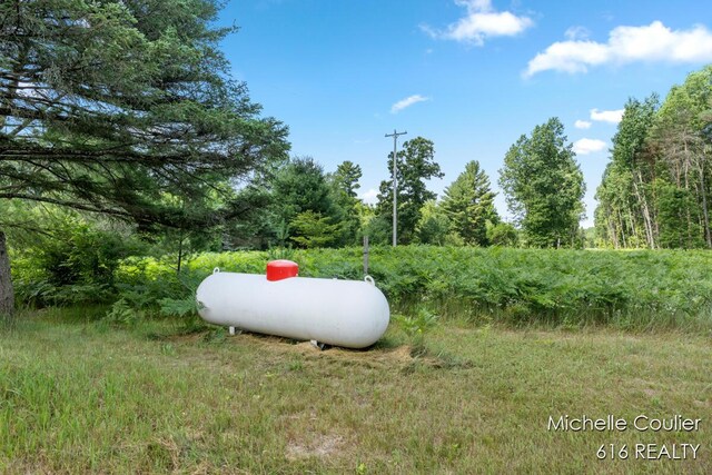 9583 E 5 Mile Rd, Big Rapids, MI 49307 - view of yard
