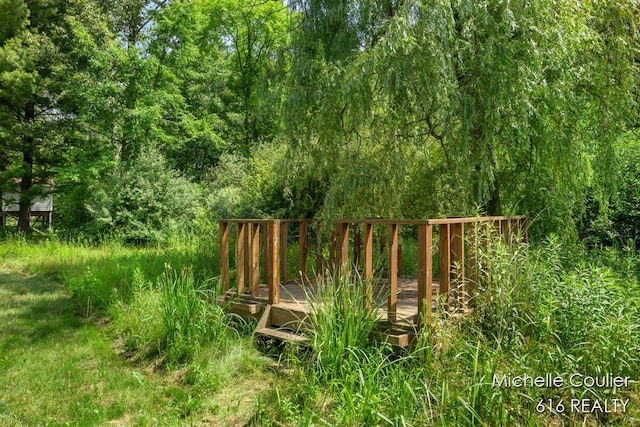 9583 E 5 Mile Rd, Big Rapids, MI 49307 - view of yard featuring a wooden deck