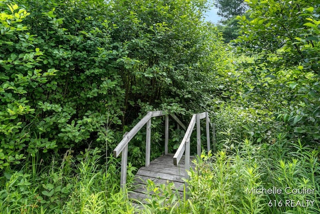 9583 E 5 Mile Rd, Big Rapids, MI 49307 - view of home's community