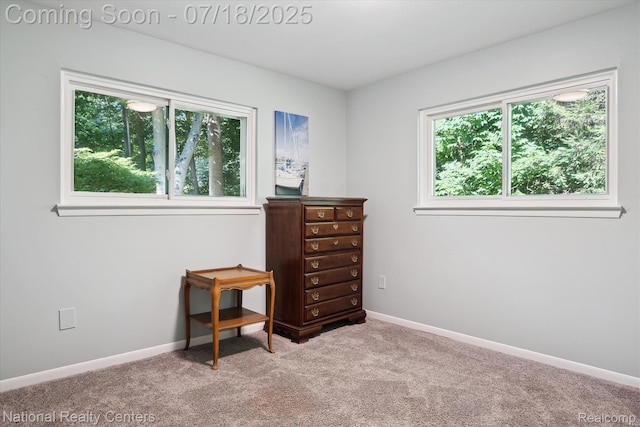 7726 Bircklan Dr, Canton, MI 48187 - photo 35