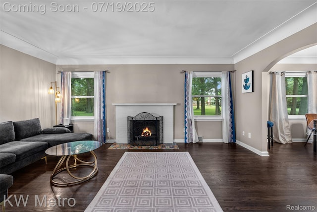 972 Goodale Ave, Clawson, MI 48017 - living area with arched walkways, wood finished floors, and a fireplace