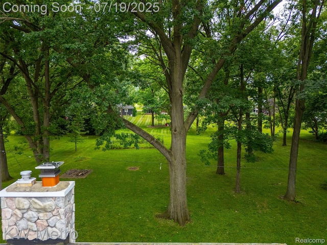 972 Goodale Ave, Clawson, MI 48017 - view of grassy yard