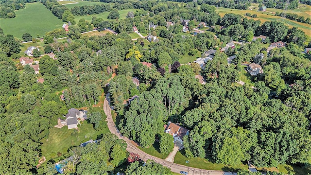 7751 Austinridge Dr SE, Caledonia, MI 49316 - aerial view of property's location