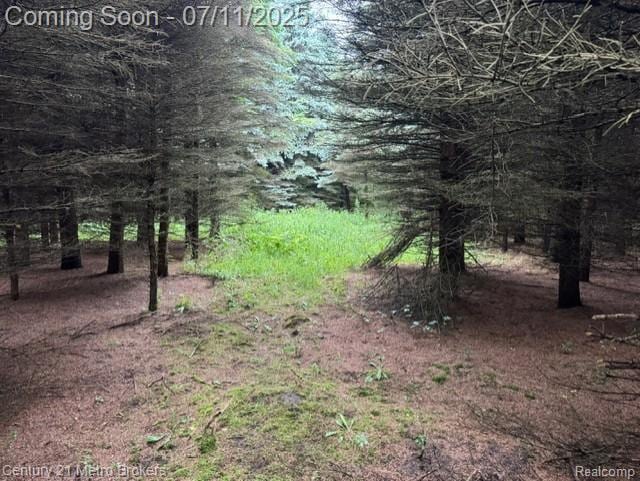 0 Davis Lake Rd, Lapeer, MI 48446