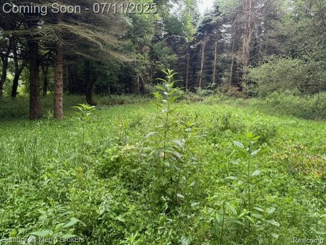 0 Davis Lake Rd, Lapeer, MI 48446