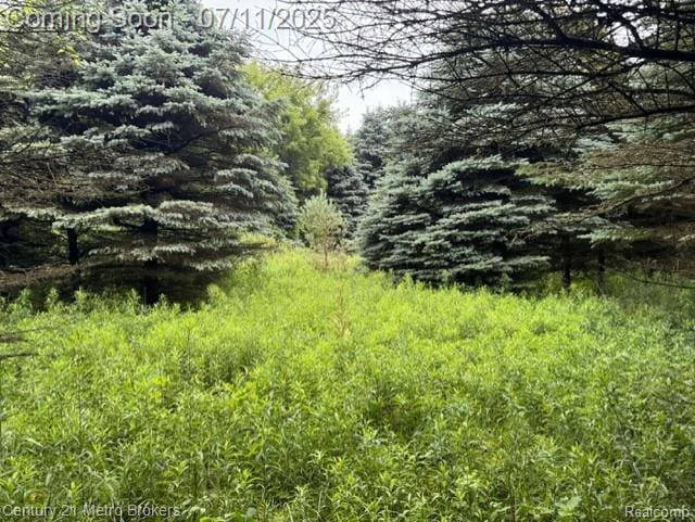 0 Davis Lake Rd, Lapeer, MI 48446