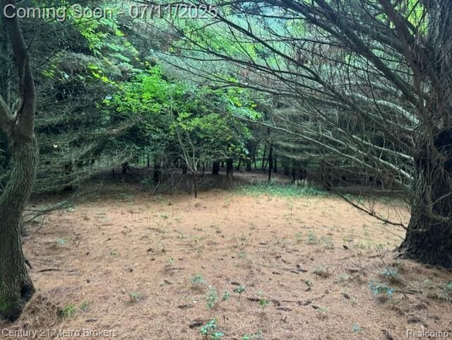 0 Davis Lake Rd, Lapeer, MI 48446