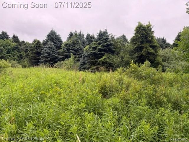 0 Davis Lake Rd, Lapeer, MI 48446