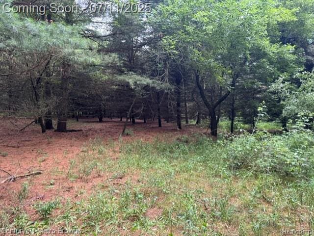 0 Davis Lake Rd, Lapeer, MI 48446