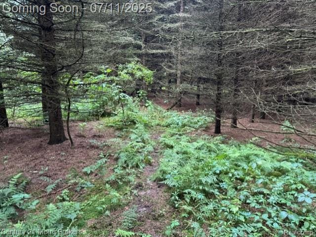 0 Davis Lake Rd, Lapeer, MI 48446