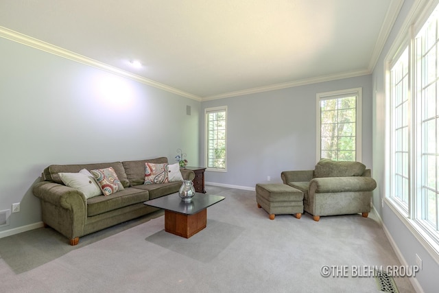 6340 Cannon Highlands Dr NE, Belmont, MI 49306 - living area with carpet floors, crown molding, and healthy amount of natural light